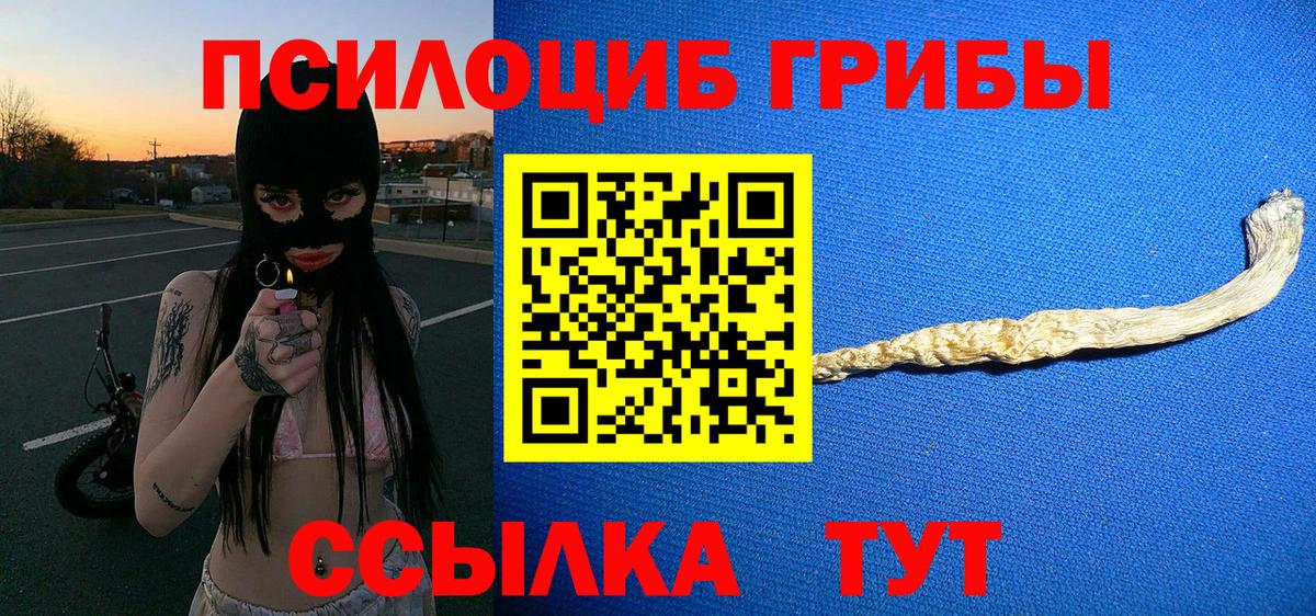 Воткинск  Псилоцибиновые грибы Cubensis  Галлюциногенные грибы Psilocybine cubensis  Вход с VPN 